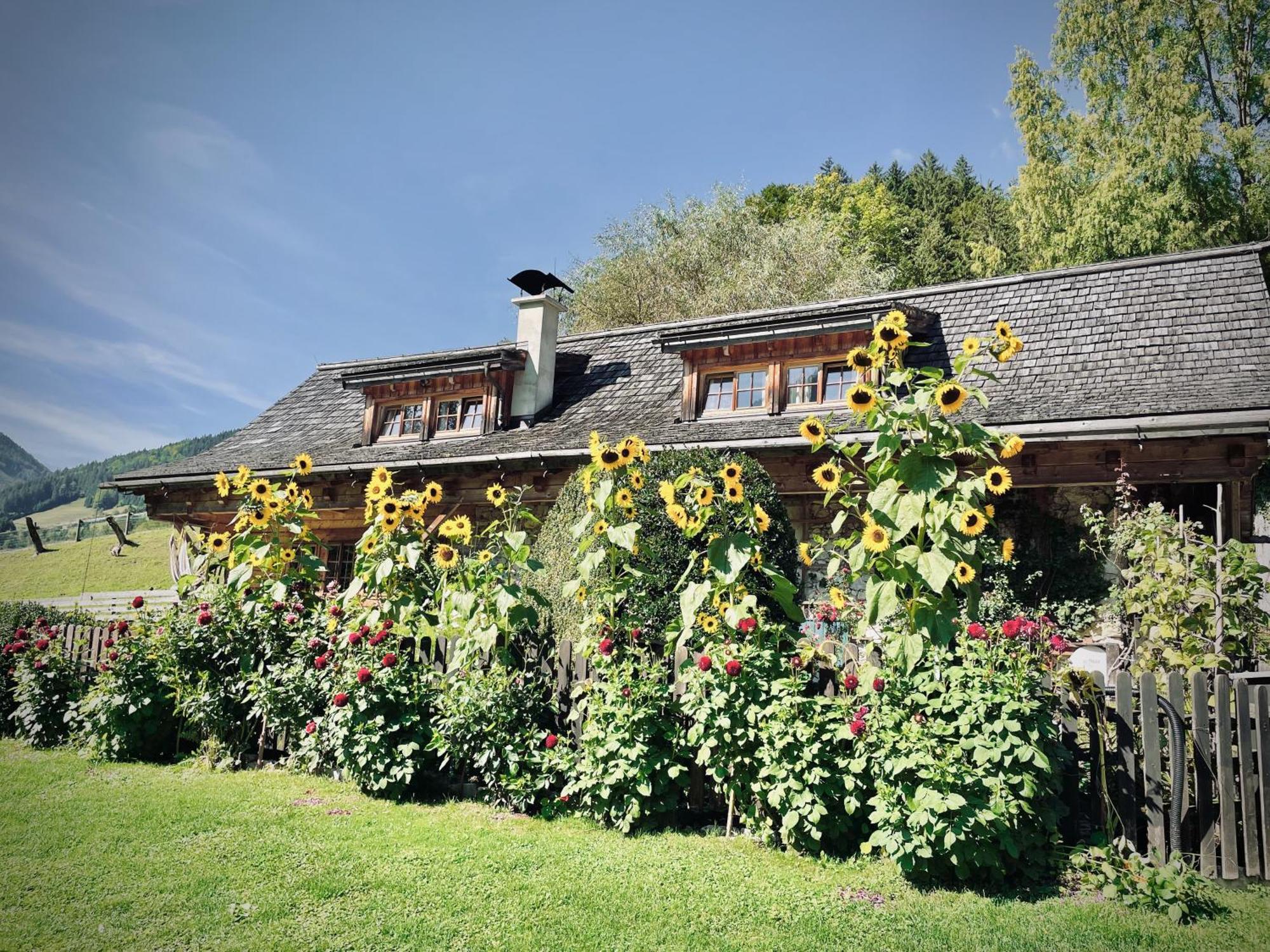 Maison d'hôtes Rafting Camp Palfau Extérieur photo